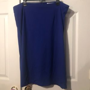 Blue Dainty Jewell’s Pencil Skirt